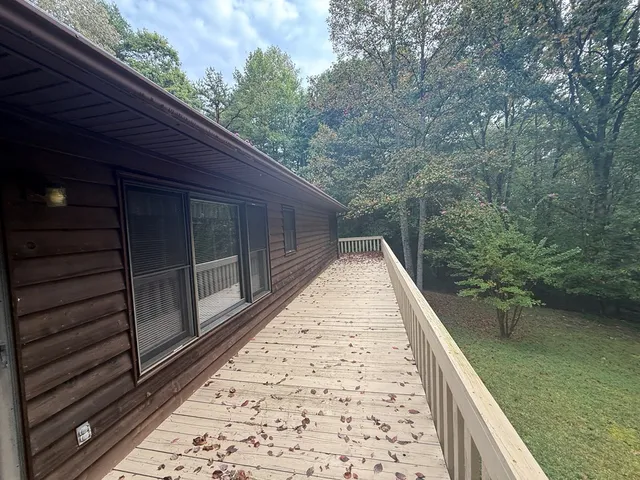 a view of a two large trees