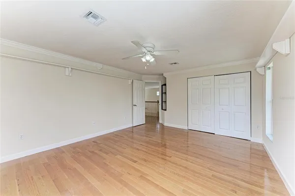 a view of a backyard with large trees