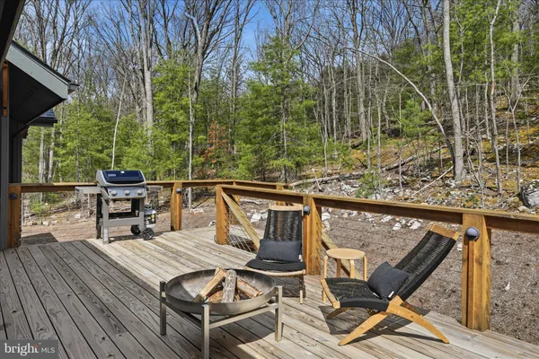 $849,000 | 777 Wildlife Drive, Lost City, WV 26810