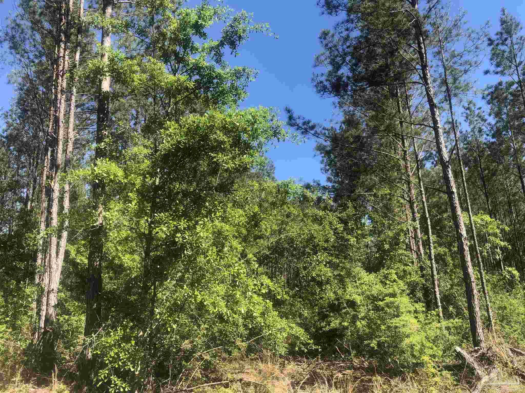Lot 67-br Buffalo Ridge Road Milton, FL 32571 - Photo 1 of 13