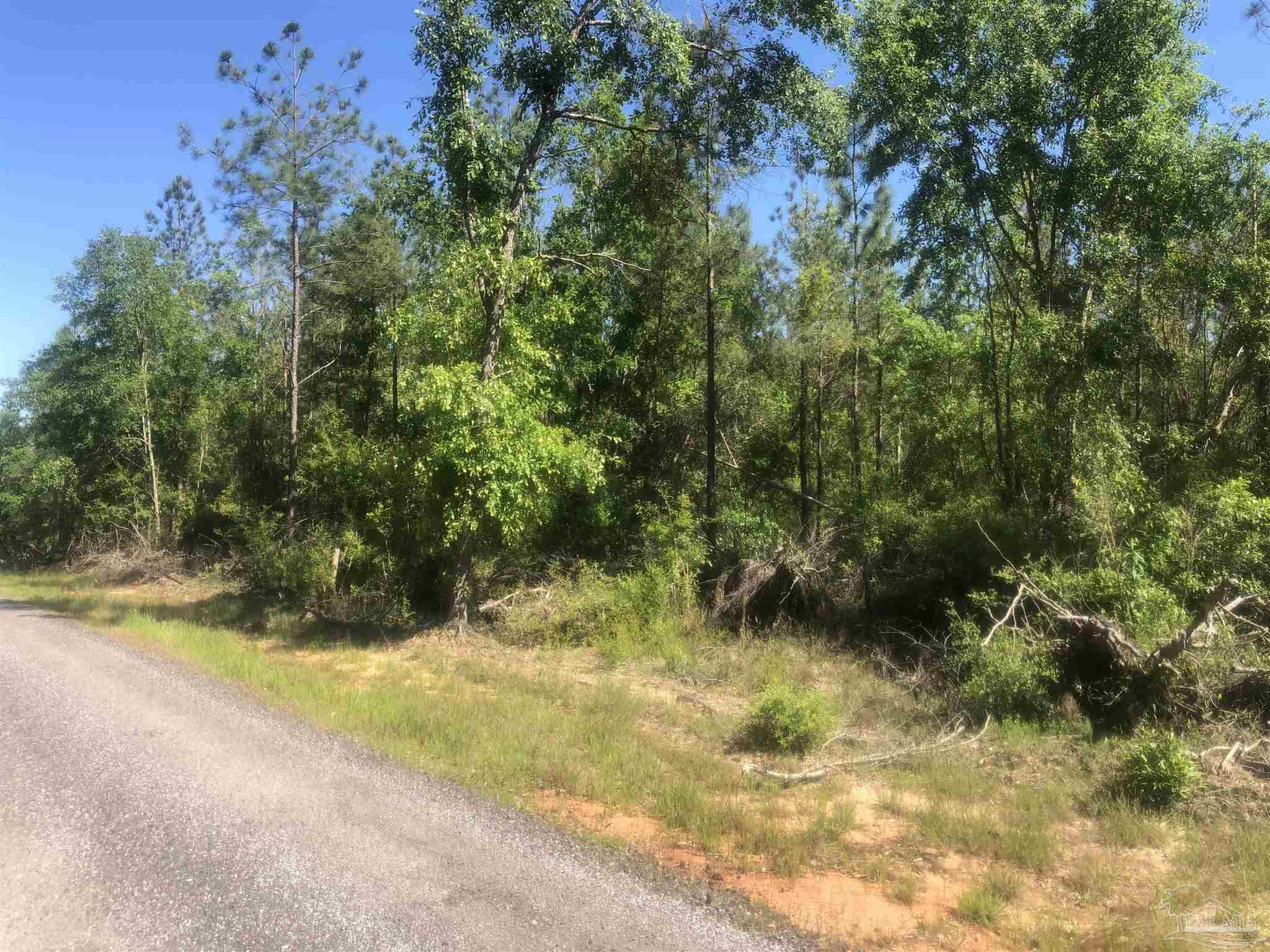 Lot 67-br Buffalo Ridge Road Milton, FL 32571 - Photo 12 of 13