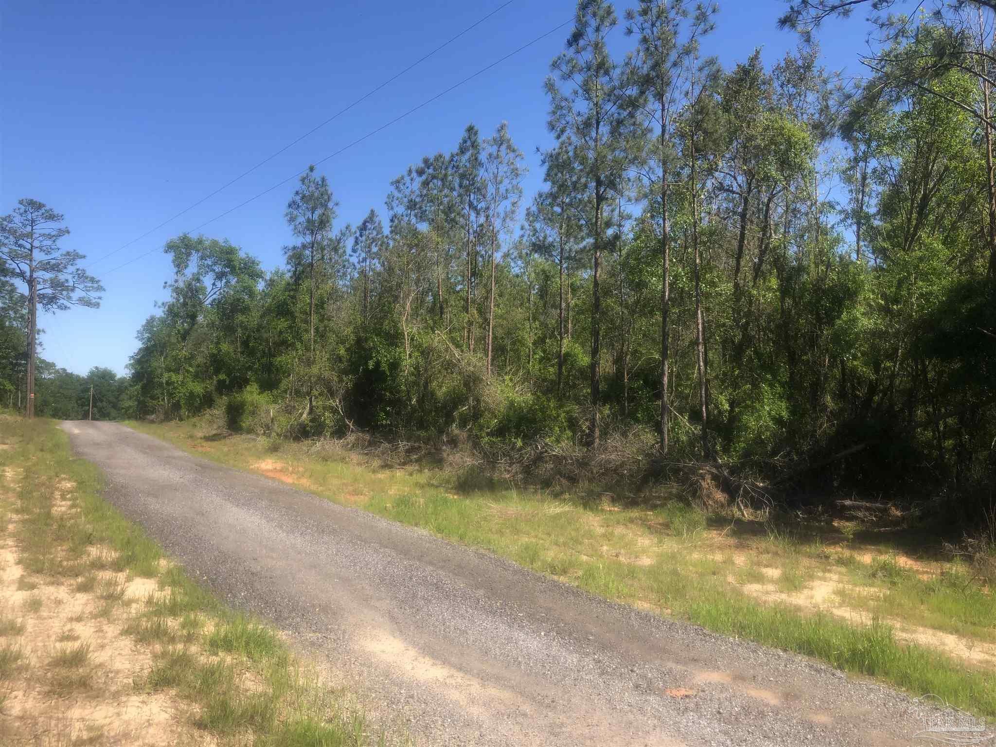 Lot 67-br Buffalo Ridge Road Milton, FL 32571 - Photo 13 of 13