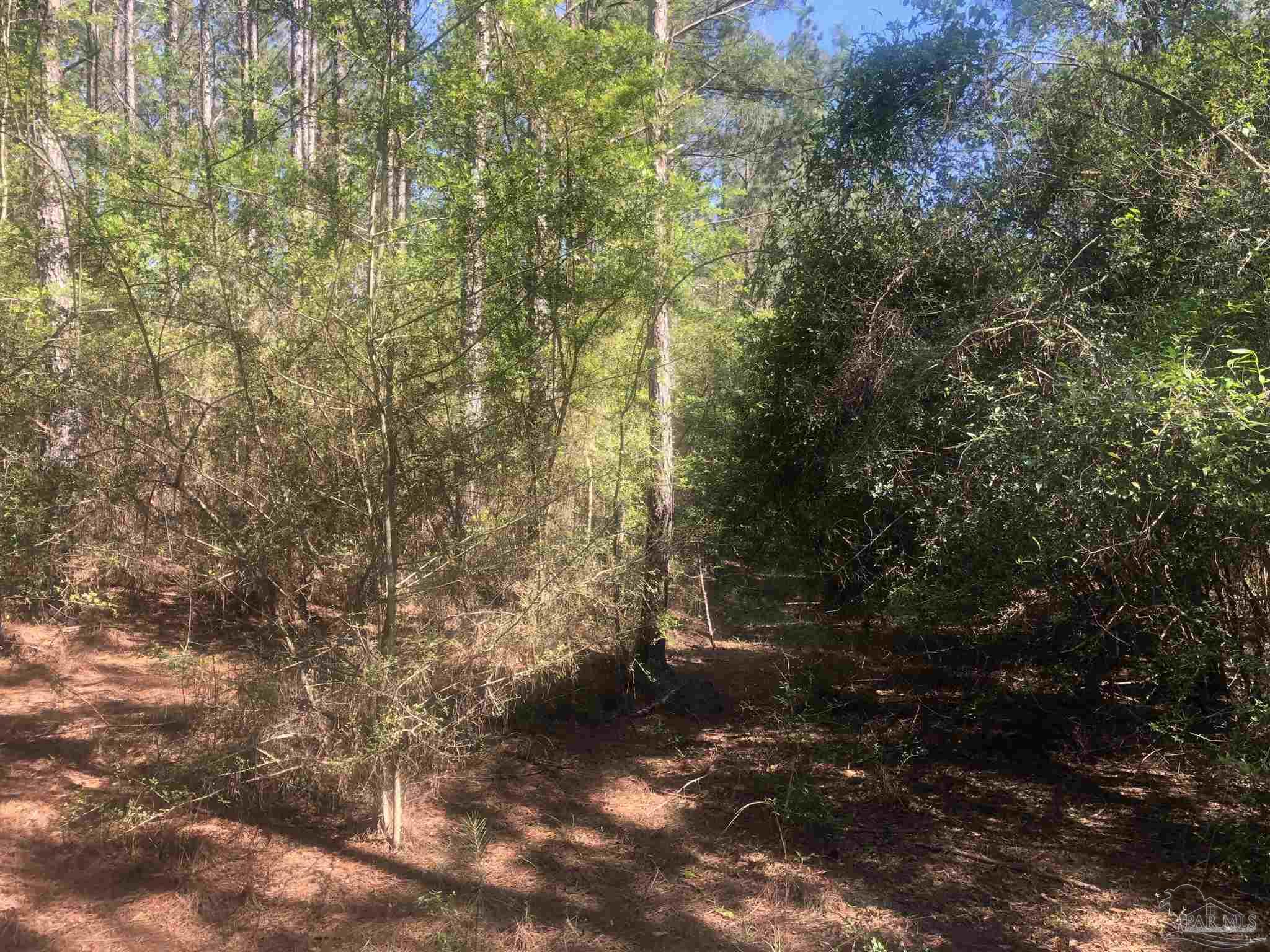 Lot 67-br Buffalo Ridge Road Milton, FL 32571 - Photo 3 of 13