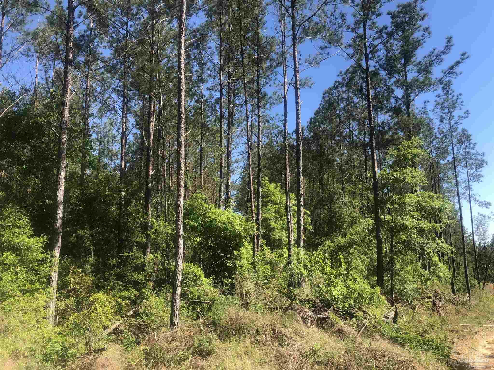 Lot 67-br Buffalo Ridge Road Milton, FL 32571 - Photo 7 of 13