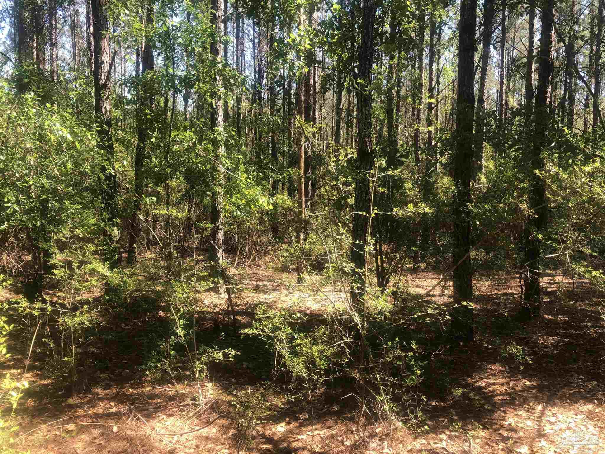Lot 67-br Buffalo Ridge Road Milton, FL 32571 - Photo 8 of 13