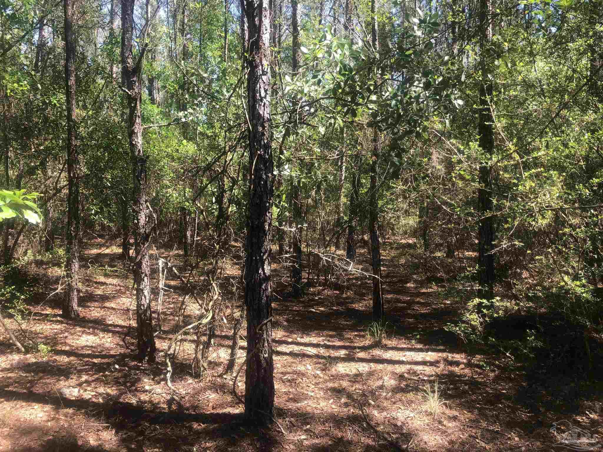 Lot 67-br Buffalo Ridge Road Milton, FL 32571 - Photo 9 of 13