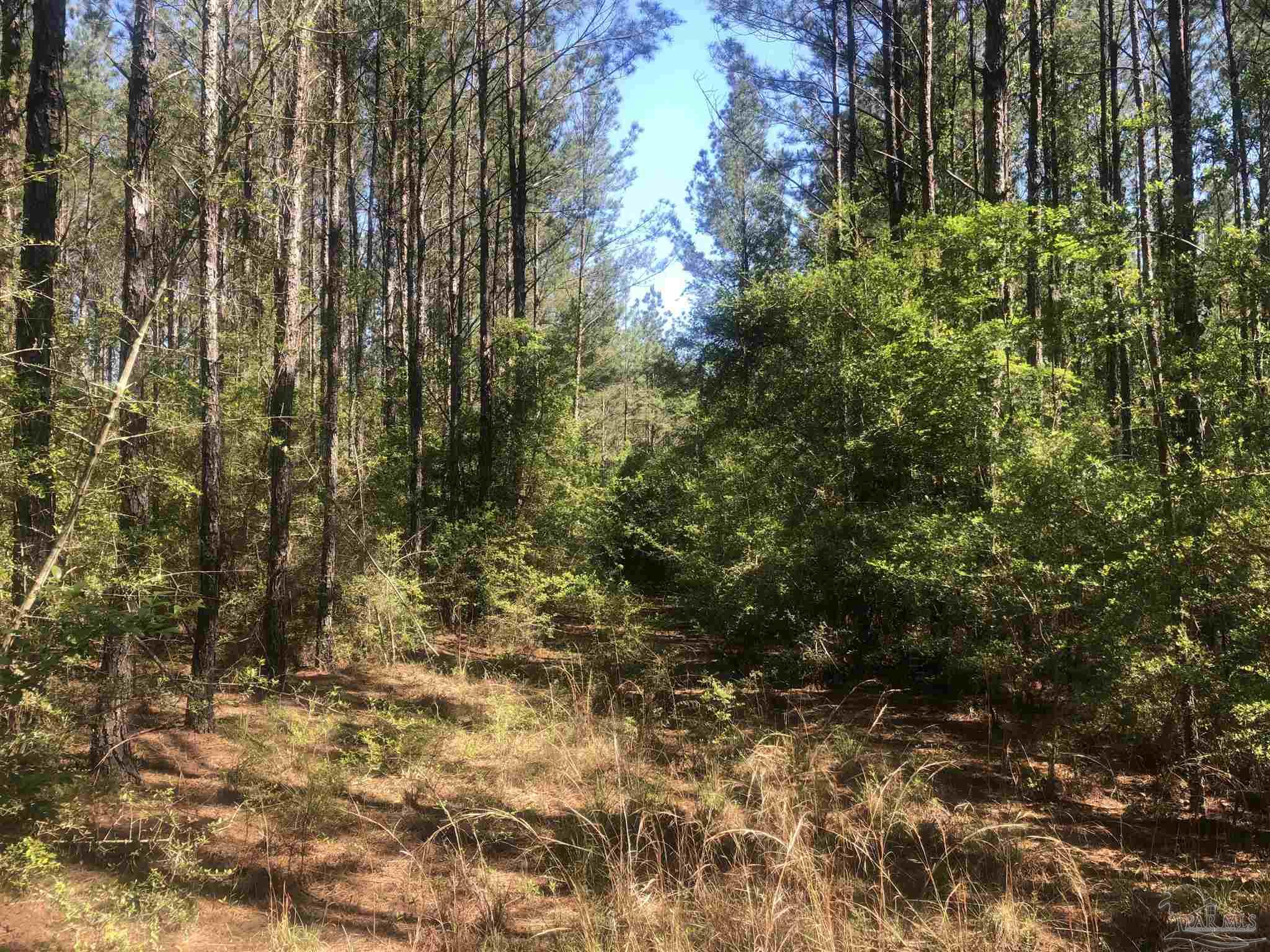 Lot 67-br Buffalo Ridge Road Milton, FL 32571 - Photo 10 of 13