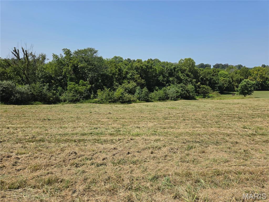 0 Ridge View Lane Jackson, MO 63755 - Photo 11 of 11 Gallery Image 11