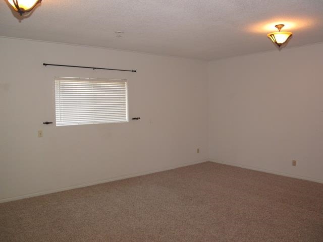 28111 West Drumheller Road Cheney, WA 99004 - Photo 17 of 20