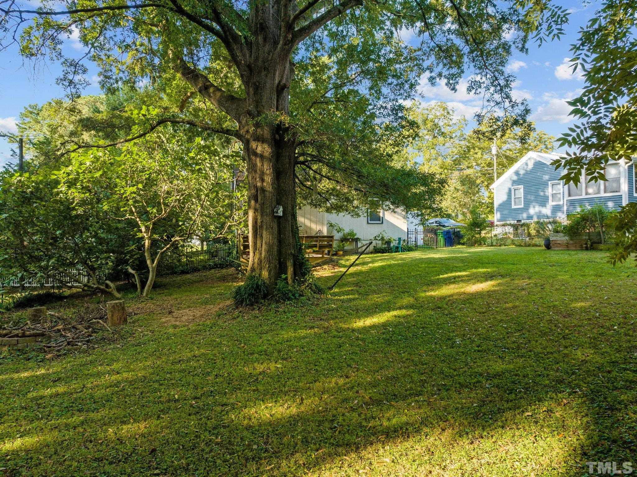 2615 Layden Street Raleigh, NC 27603 - Photo 25 of 34 a view of a trees with a yard