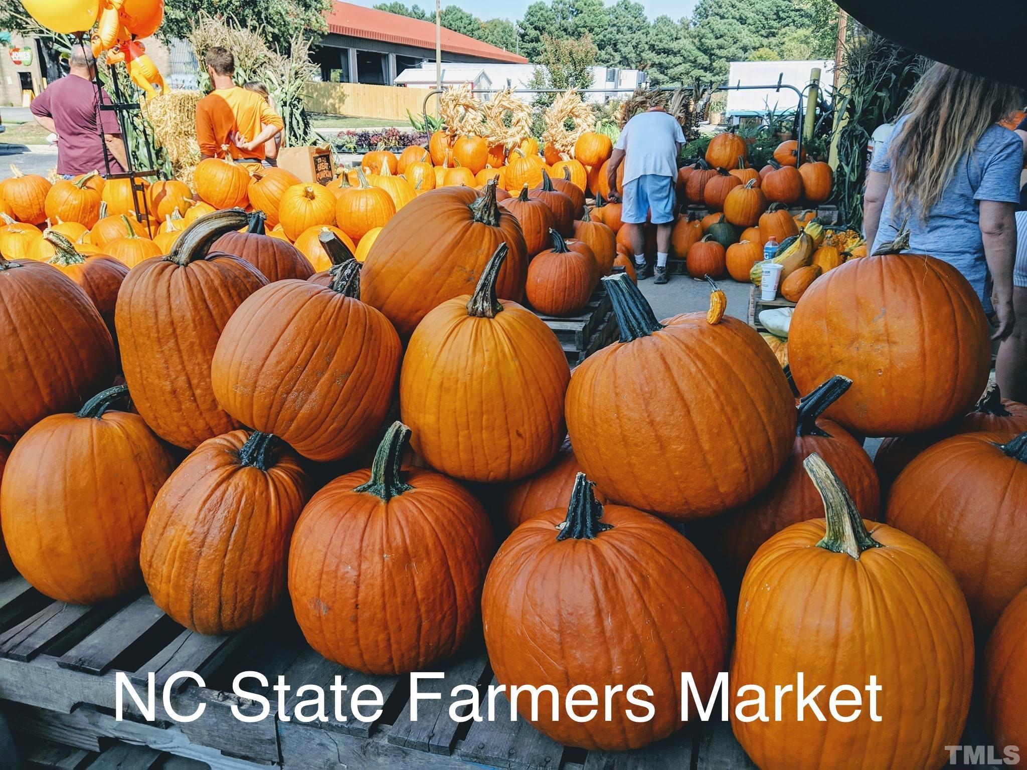 2615 Layden Street Raleigh, NC 27603 - Photo 32 of 34 a view of an outdoor space