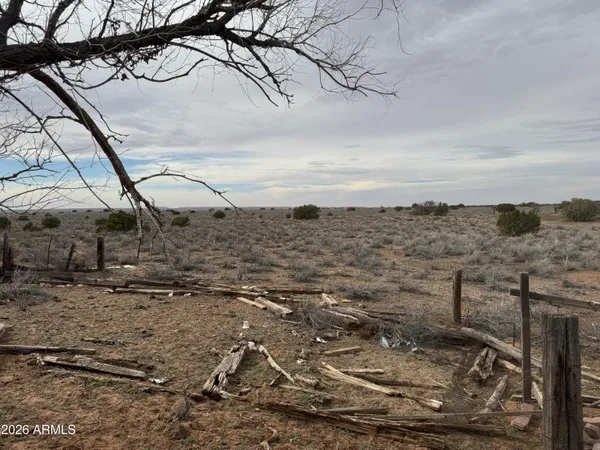 a view of a yard with wooden fence