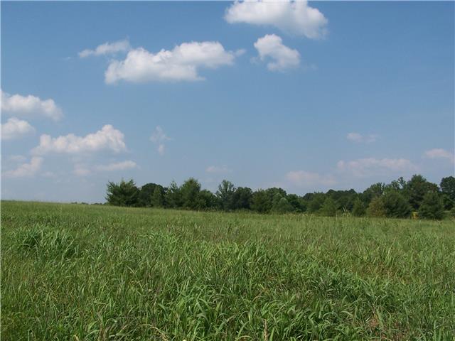 4 Hickory Drive Springfield, TN 37172 - Photo 1 of 2