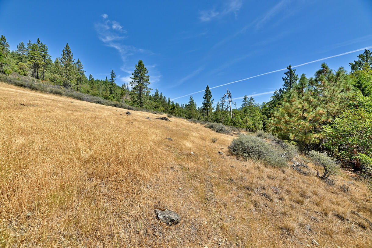 360 Sparky Way Cave Junction, OR 97523 - Photo 19 of 20 DSC_9702