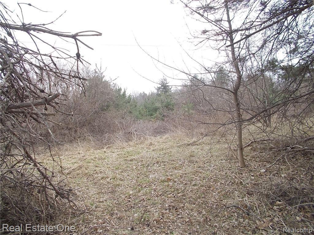 0 North Lake George Road Oakland, MI 48363 - Photo 29 of 55