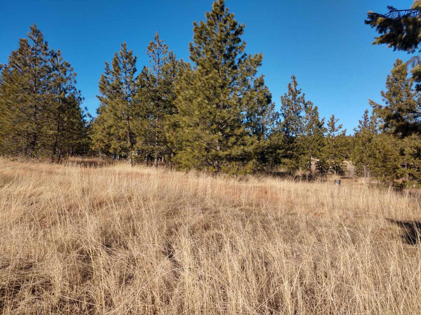 0 West Woolard Road Colbert, WA 99005 - Photo 1 of 11