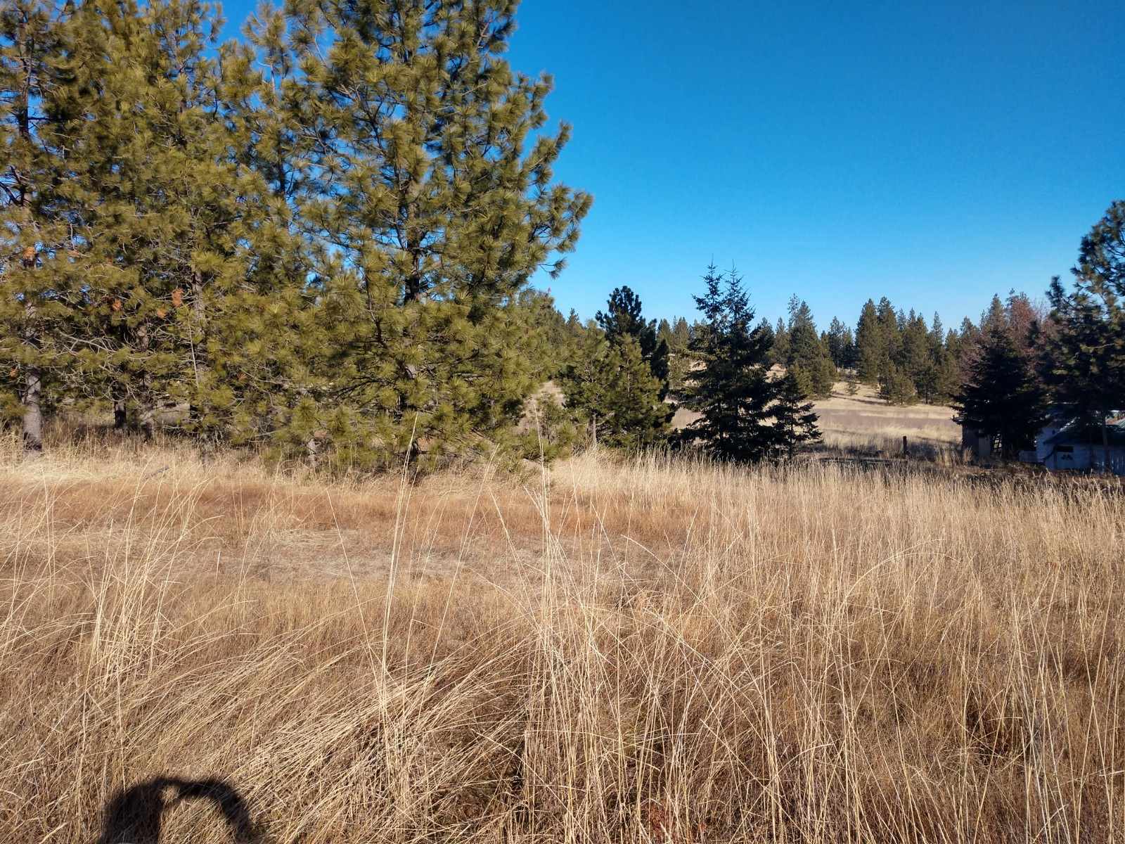 0 West Woolard Road Colbert, WA 99005 - Photo 2 of 11