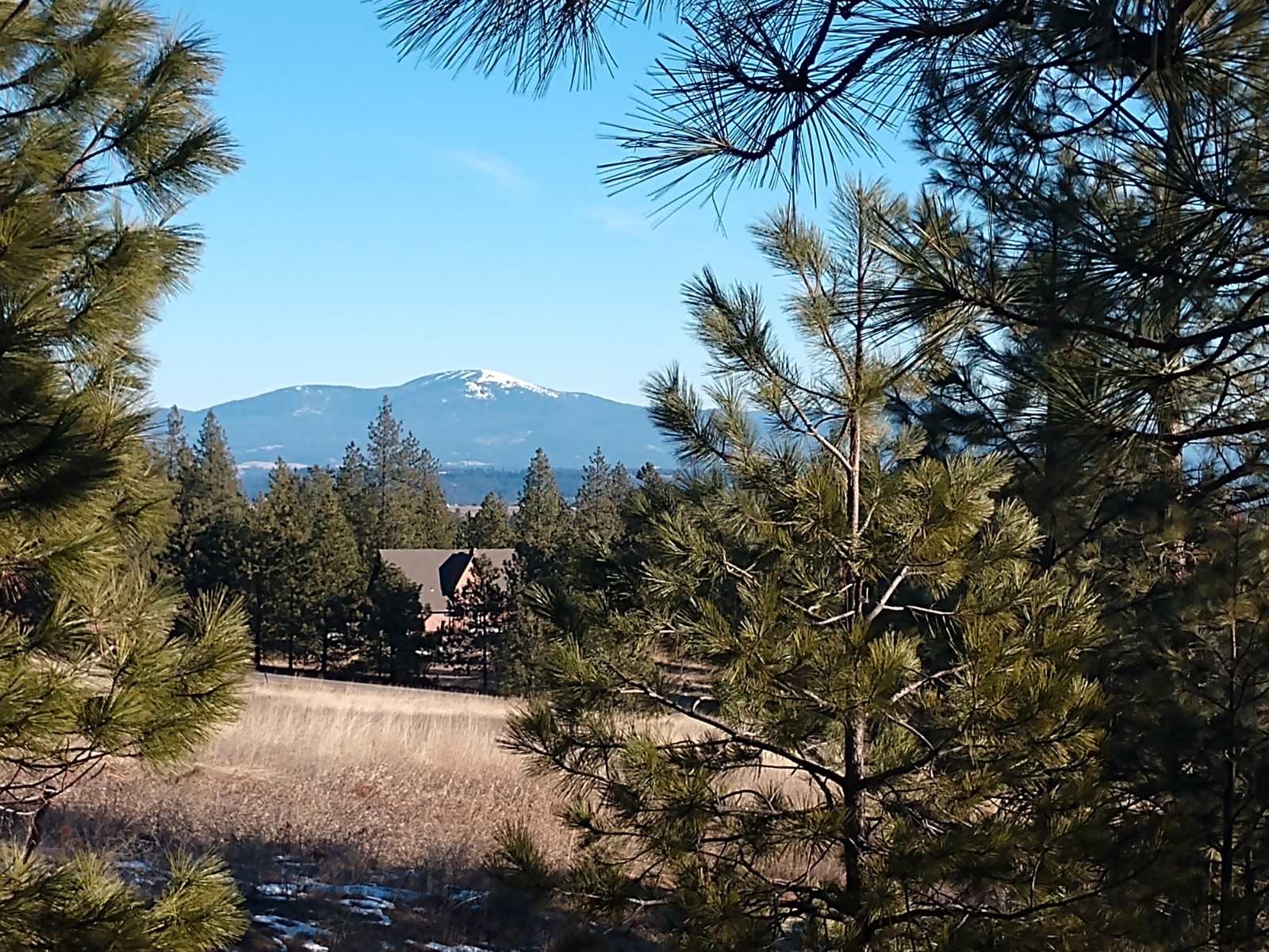 0 West Woolard Road Colbert, WA 99005 - Photo 11 of 11