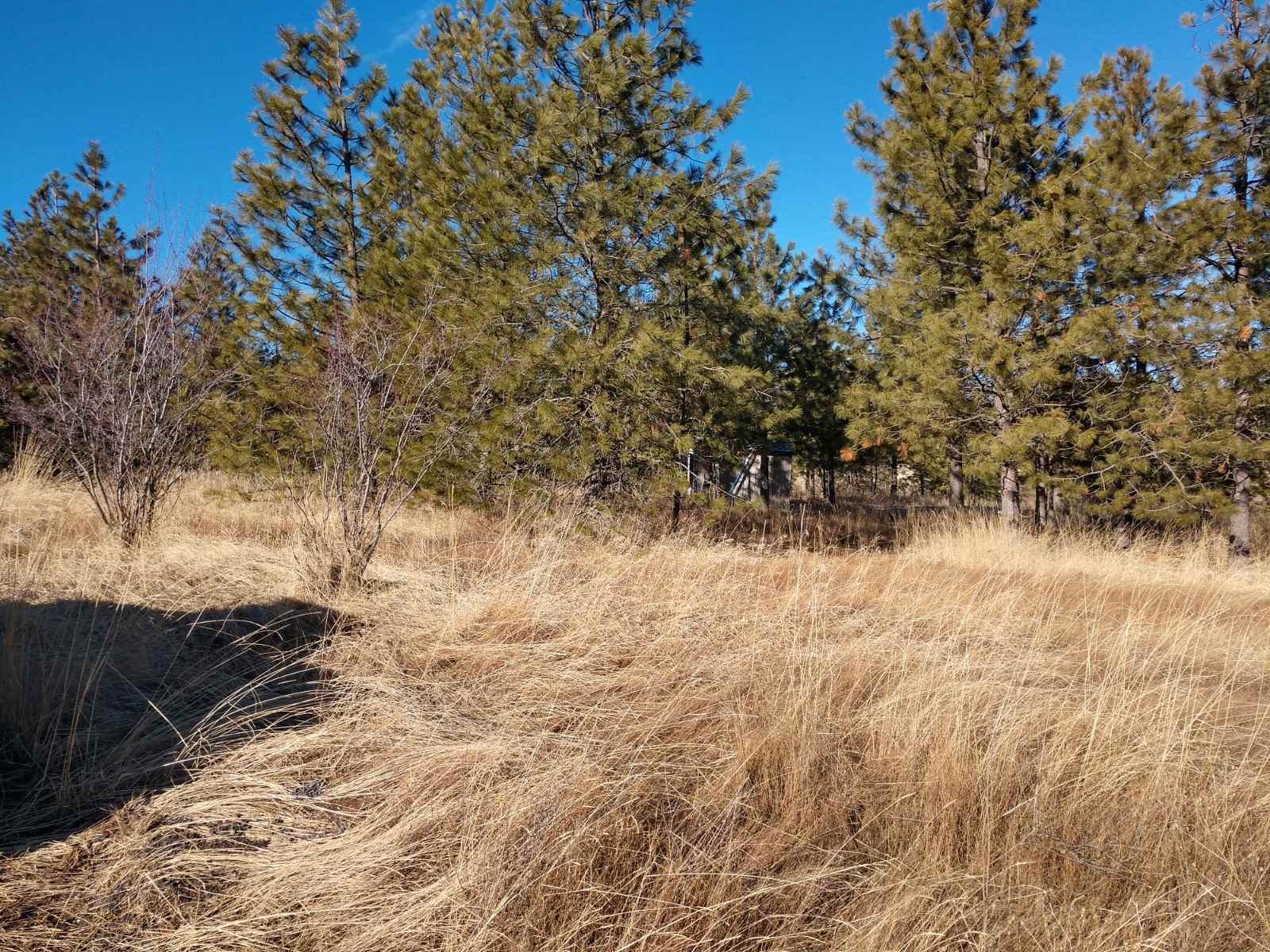 0 West Woolard Road Colbert, WA 99005 - Photo 3 of 11