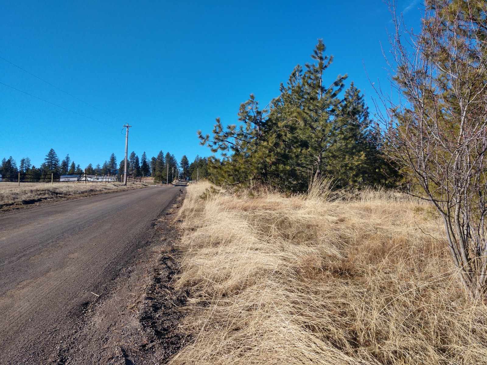 0 West Woolard Road Colbert, WA 99005 - Photo 4 of 11