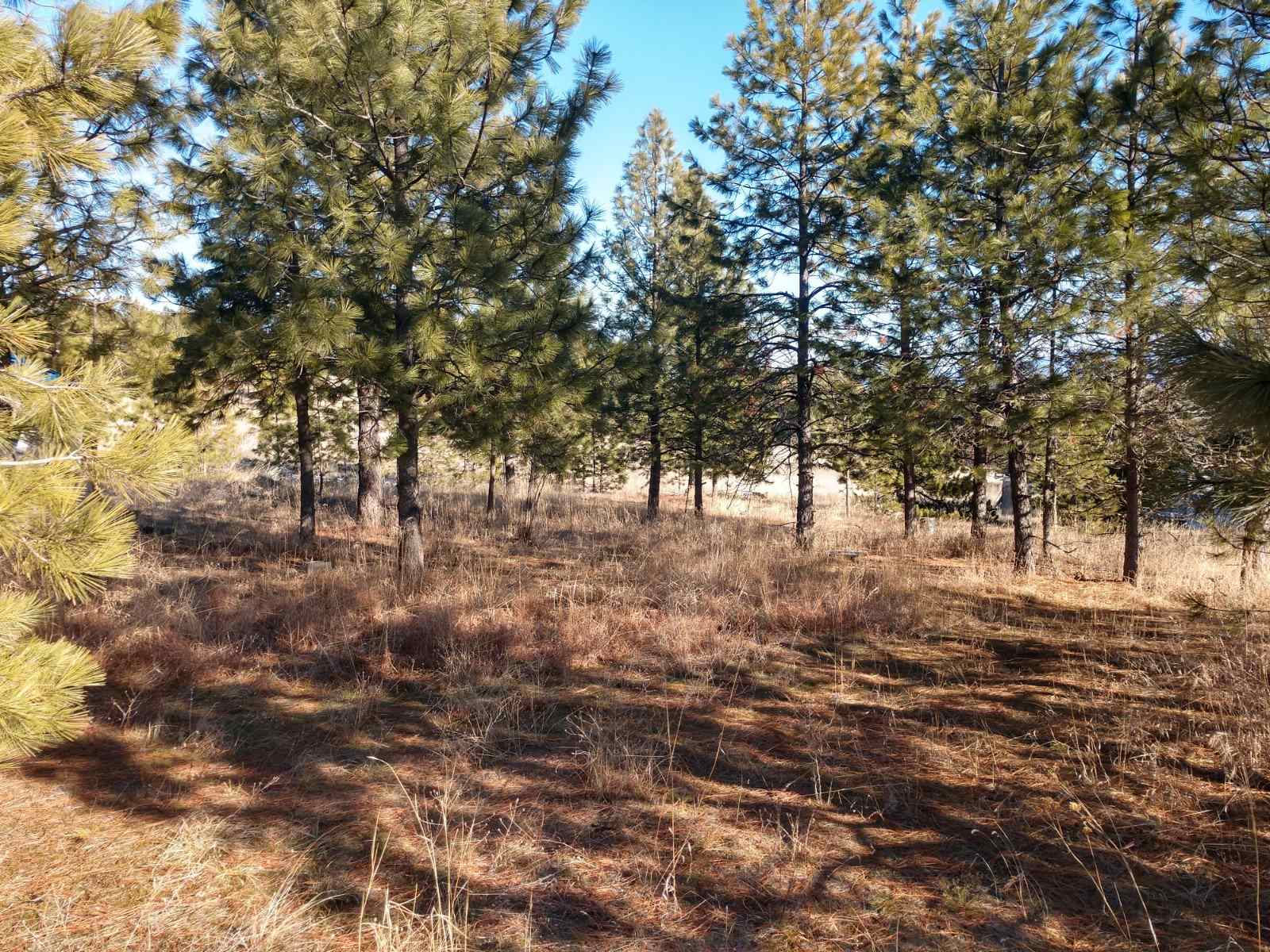 0 West Woolard Road Colbert, WA 99005 - Photo 5 of 11