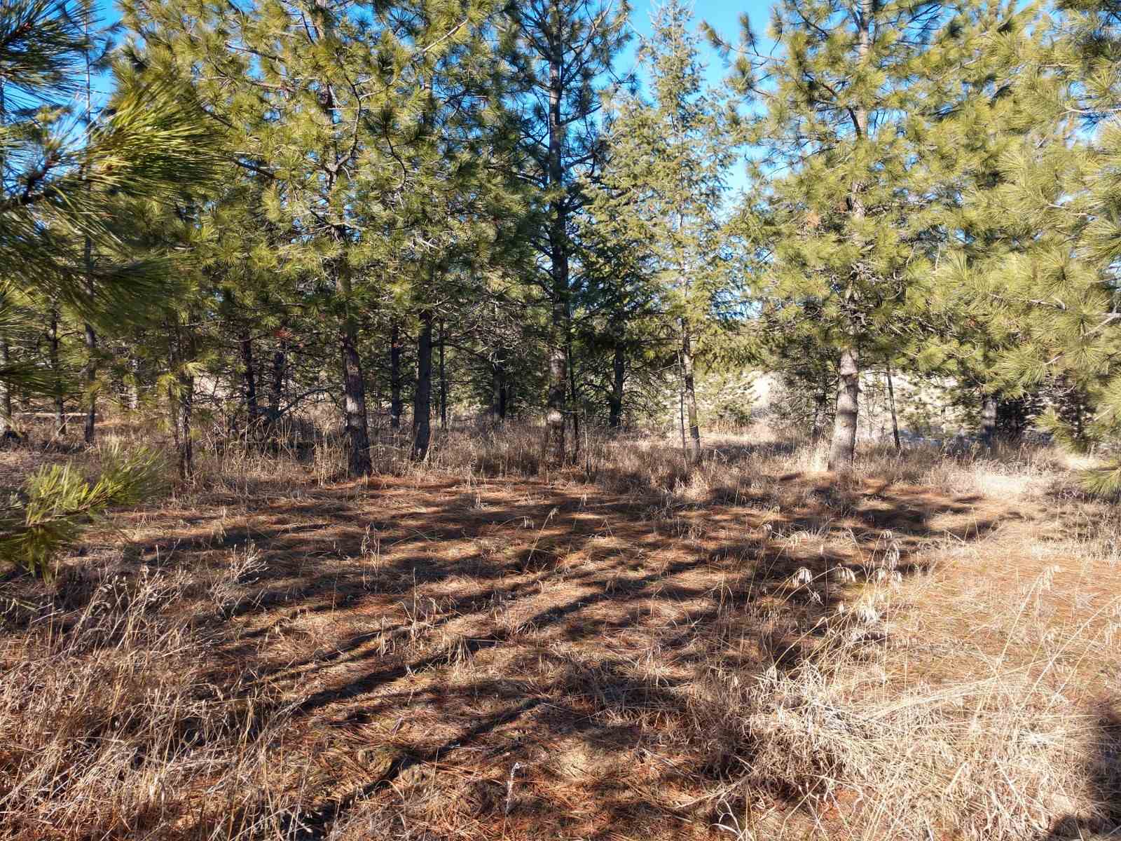 0 West Woolard Road Colbert, WA 99005 - Photo 6 of 11