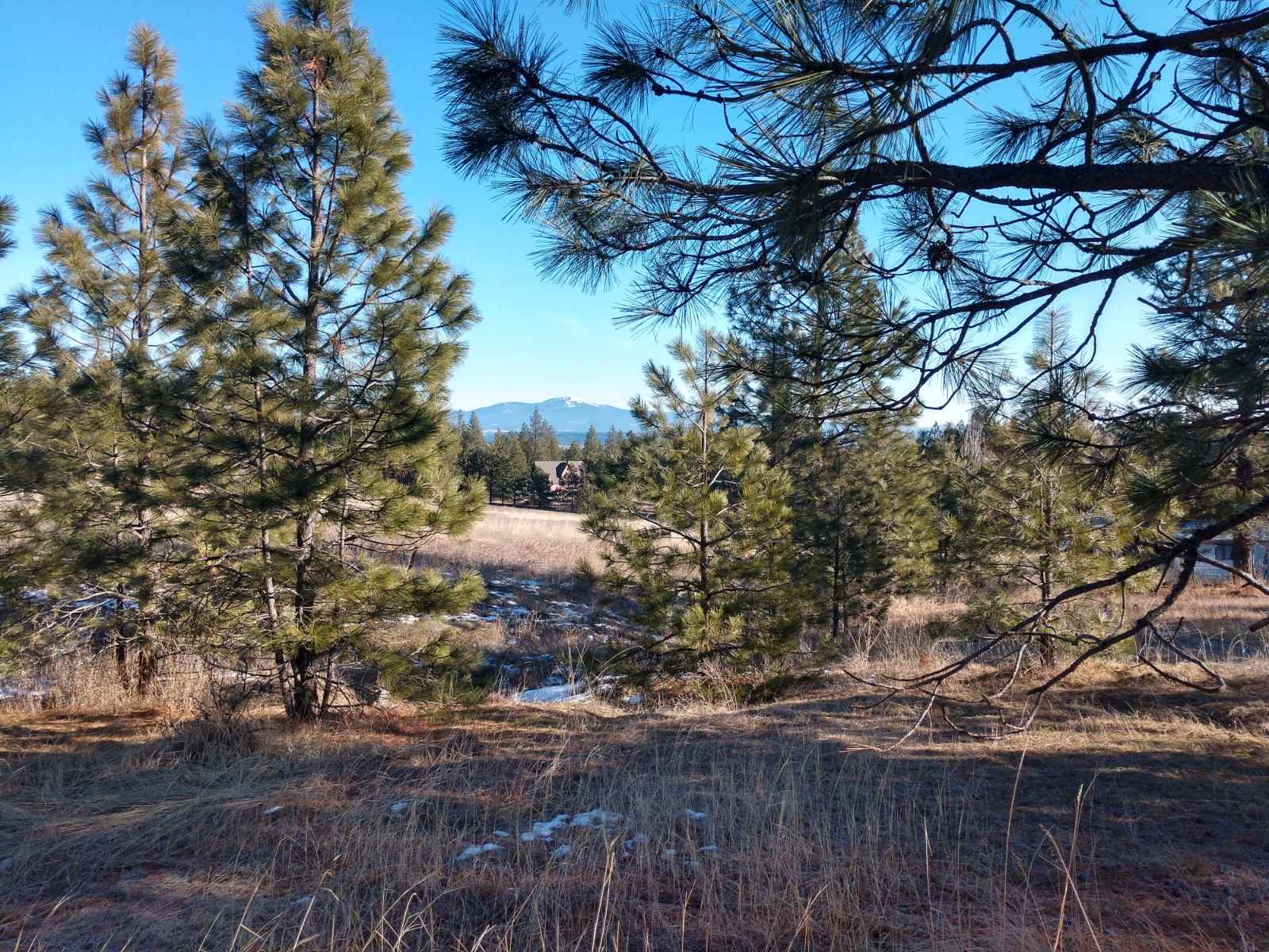 0 West Woolard Road Colbert, WA 99005 - Photo 10 of 11