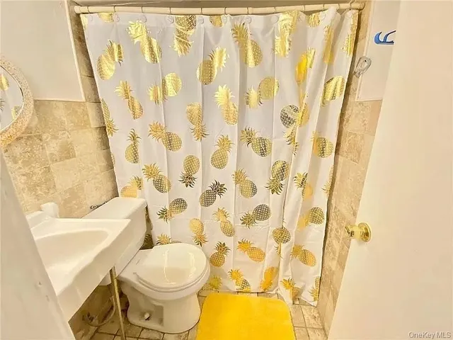 a white toilet sitting next to a shower curtain