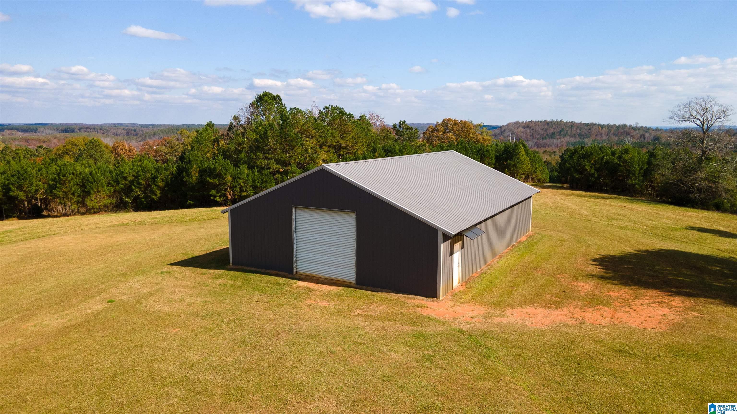 0 White Plains Road Munford, AL 36268 - Photo 6 of 17