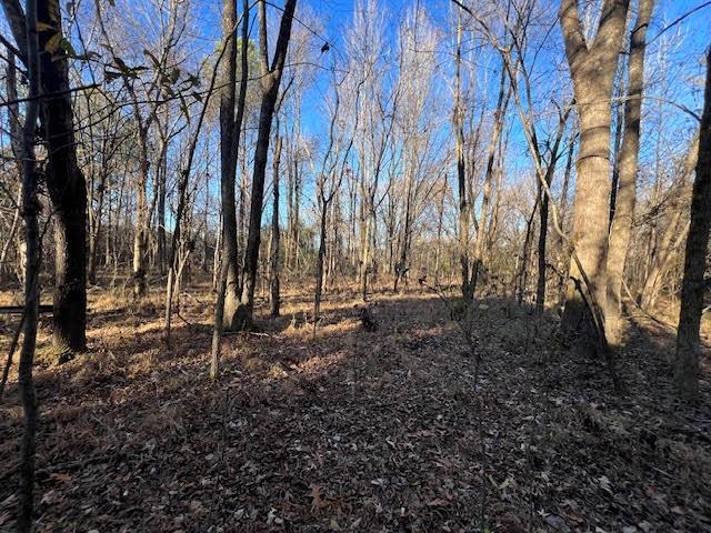 11764 Macon Road Eads, TN 38028 - Photo 11 of 25