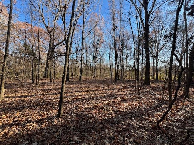 11764 Macon Road Eads, TN 38028 - Photo 12 of 25