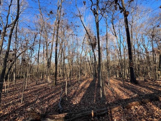 11764 Macon Road Eads, TN 38028 - Photo 13 of 25