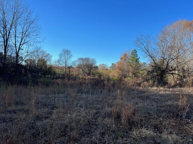 11764 Macon Road Eads, TN 38028 - Photo 14 of 25