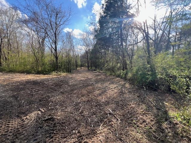 11764 Macon Road Eads, TN 38028 - Photo 19 of 25