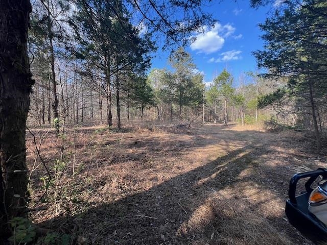 11764 Macon Road Eads, TN 38028 - Photo 21 of 25