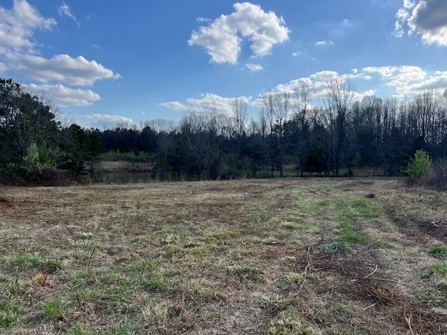 11764 Macon Road Eads, TN 38028 - Photo 24 of 25