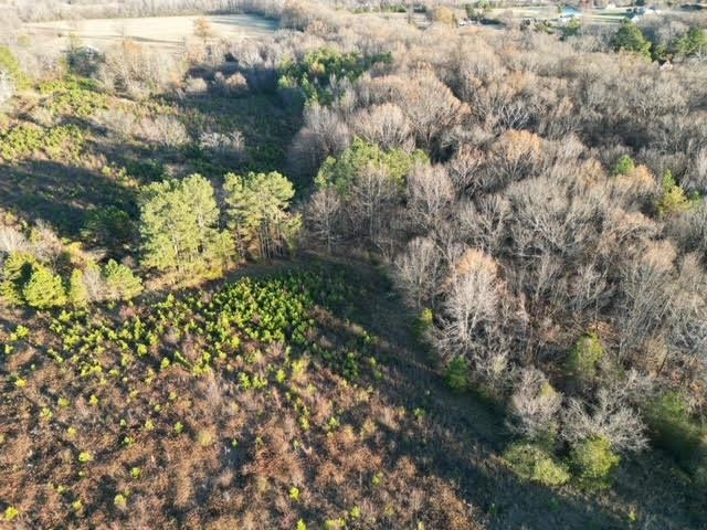 11764 Macon Road Eads, TN 38028 - Photo 6 of 25