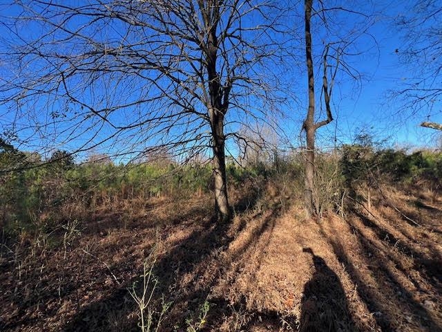 11764 Macon Road Eads, TN 38028 - Photo 8 of 25