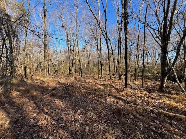 11764 Macon Road Eads, TN 38028 - Photo 9 of 25