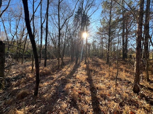 11764 Macon Road Eads, TN 38028 - Photo 10 of 25