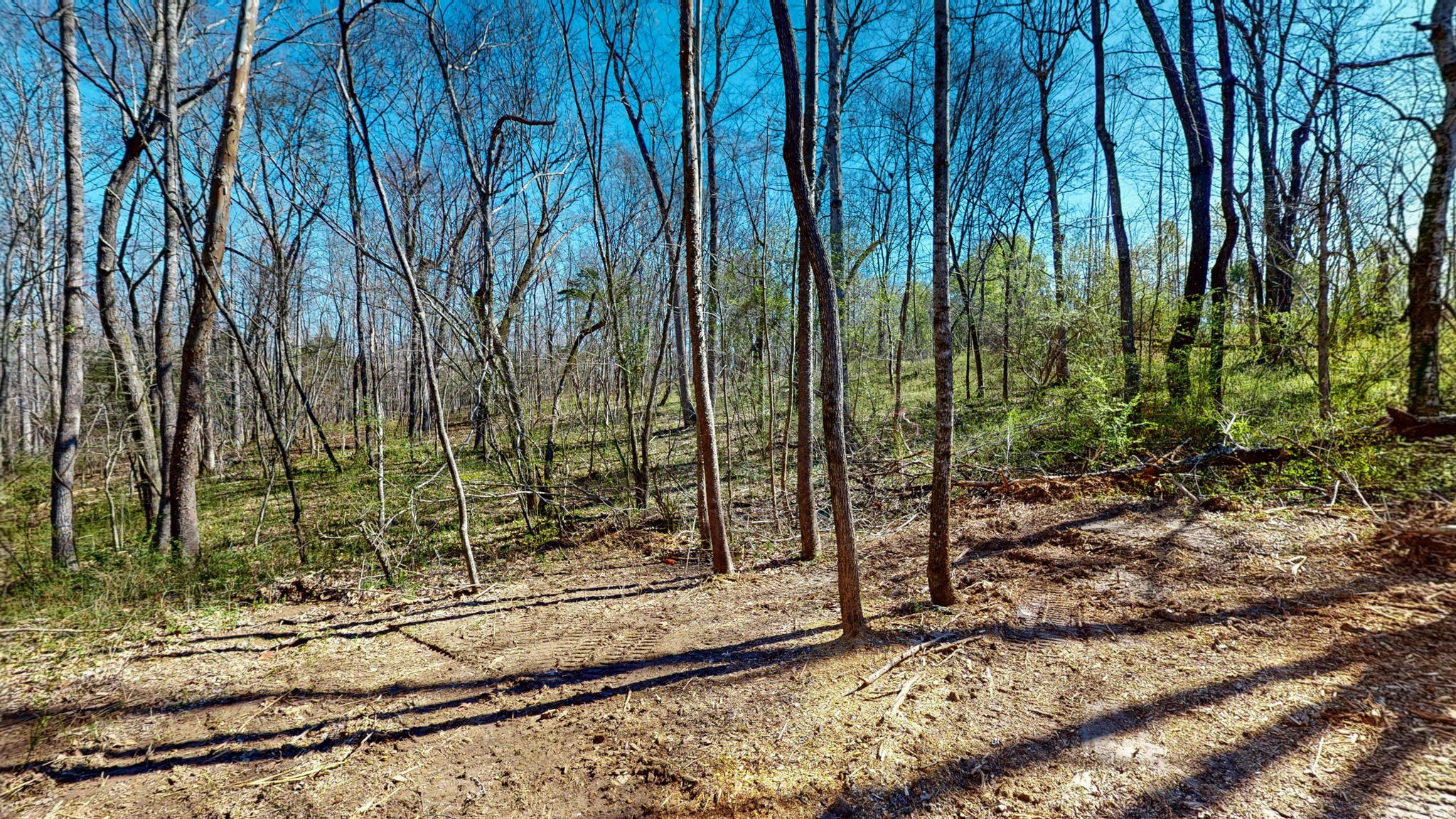 1461 Southside Road Southside, TN 37171 - Photo 8 of 28 a view of a backyard