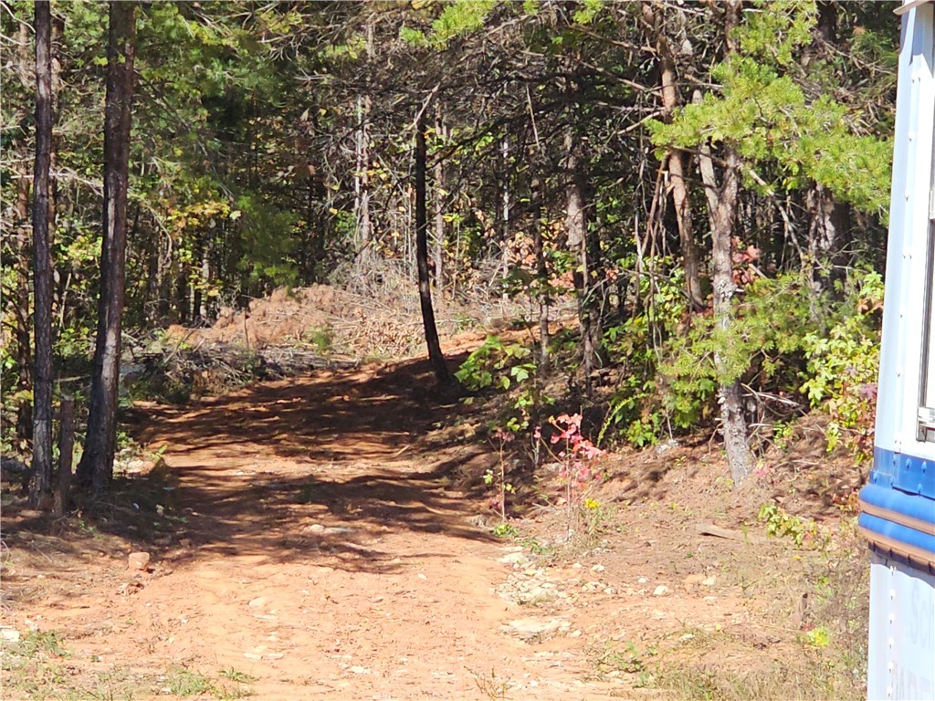 254 Crystal Lane Pickens, SC 29671 - Photo 9 of 13