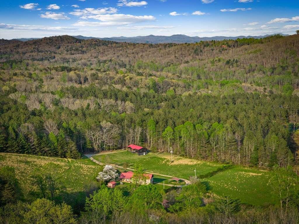 384 Maxwell Road Blue Ridge, GA 30513 - Photo 63 of 68 a view of a big yard