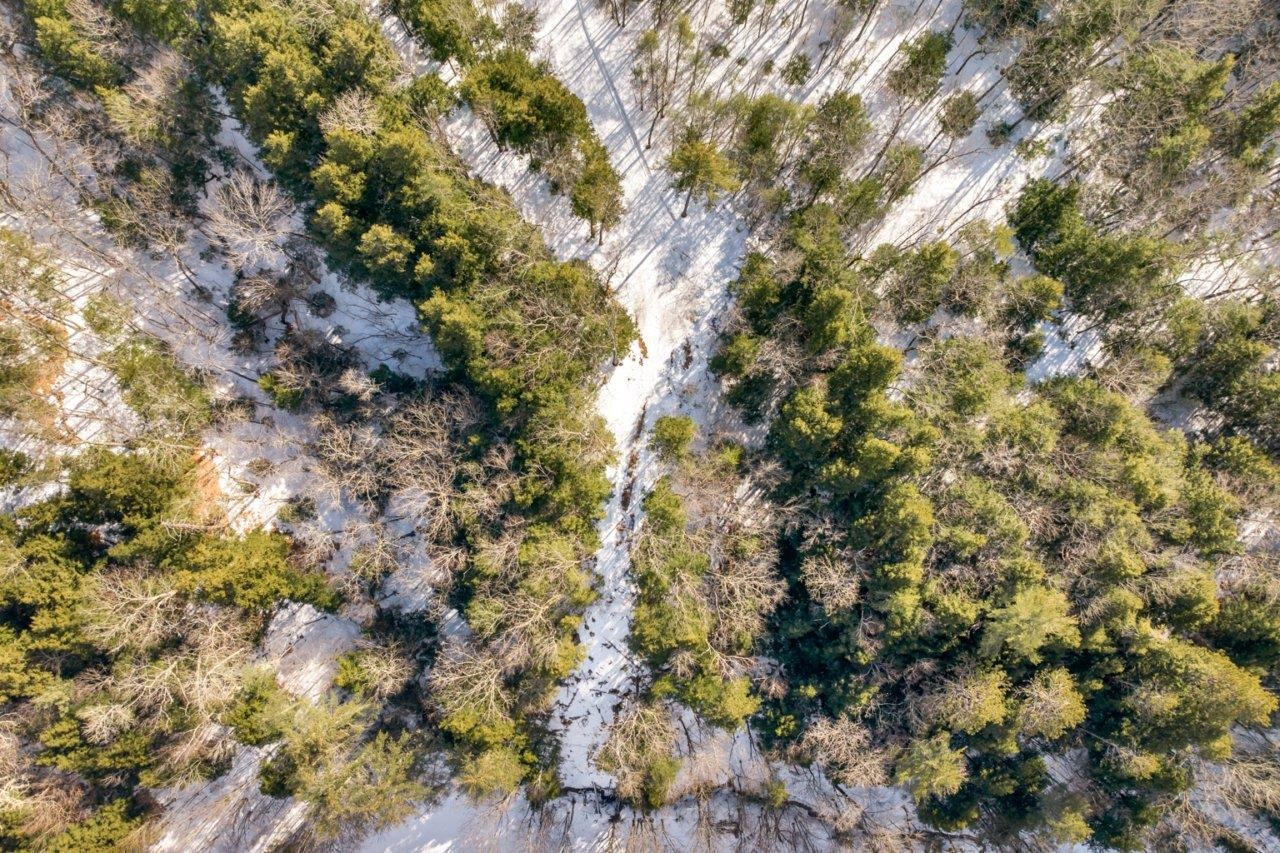 Lot 12 North Ashland Road Ashland, NH 03217 - Photo 11 of 13