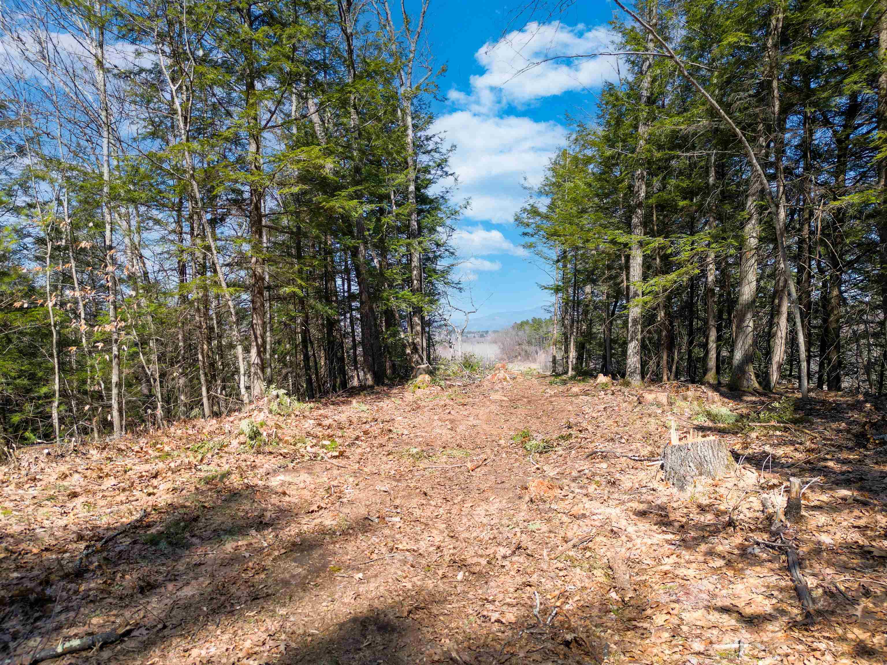 Lot 12 North Ashland Road Ashland, NH 03217 - Photo 13 of 13