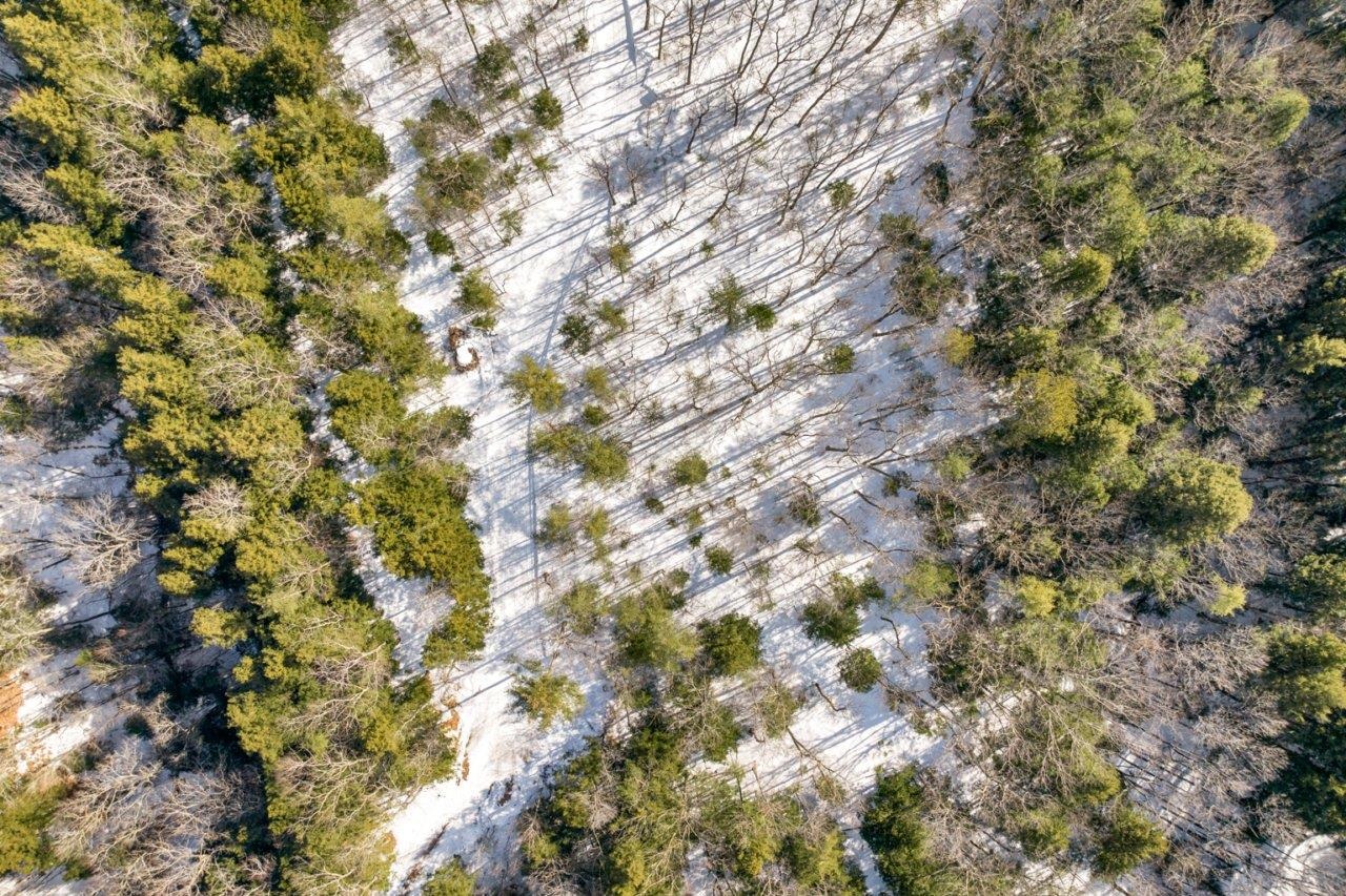 Lot 12 North Ashland Road Ashland, NH 03217 - Photo 9 of 13