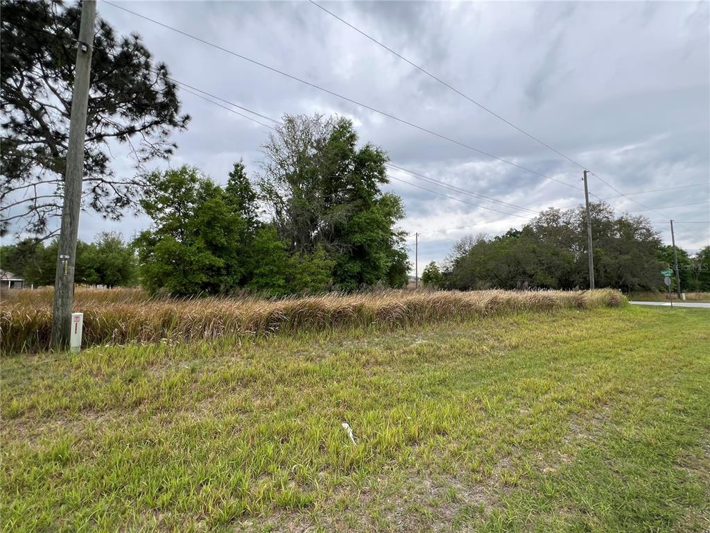 Tbd Ocala, FL 34472 - Photo 5 of 5