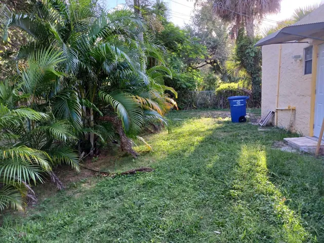 a view of a yard with plants and large trees