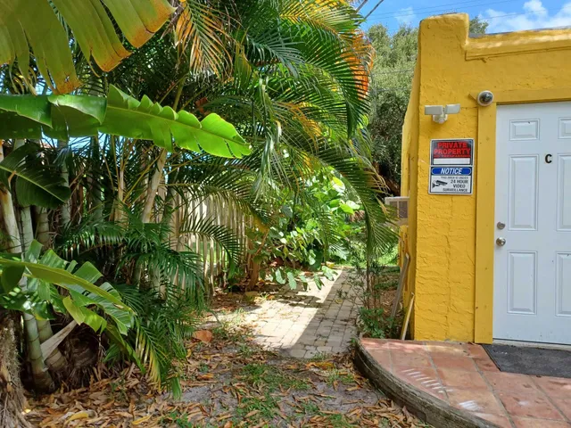 a view of a back yard of the house