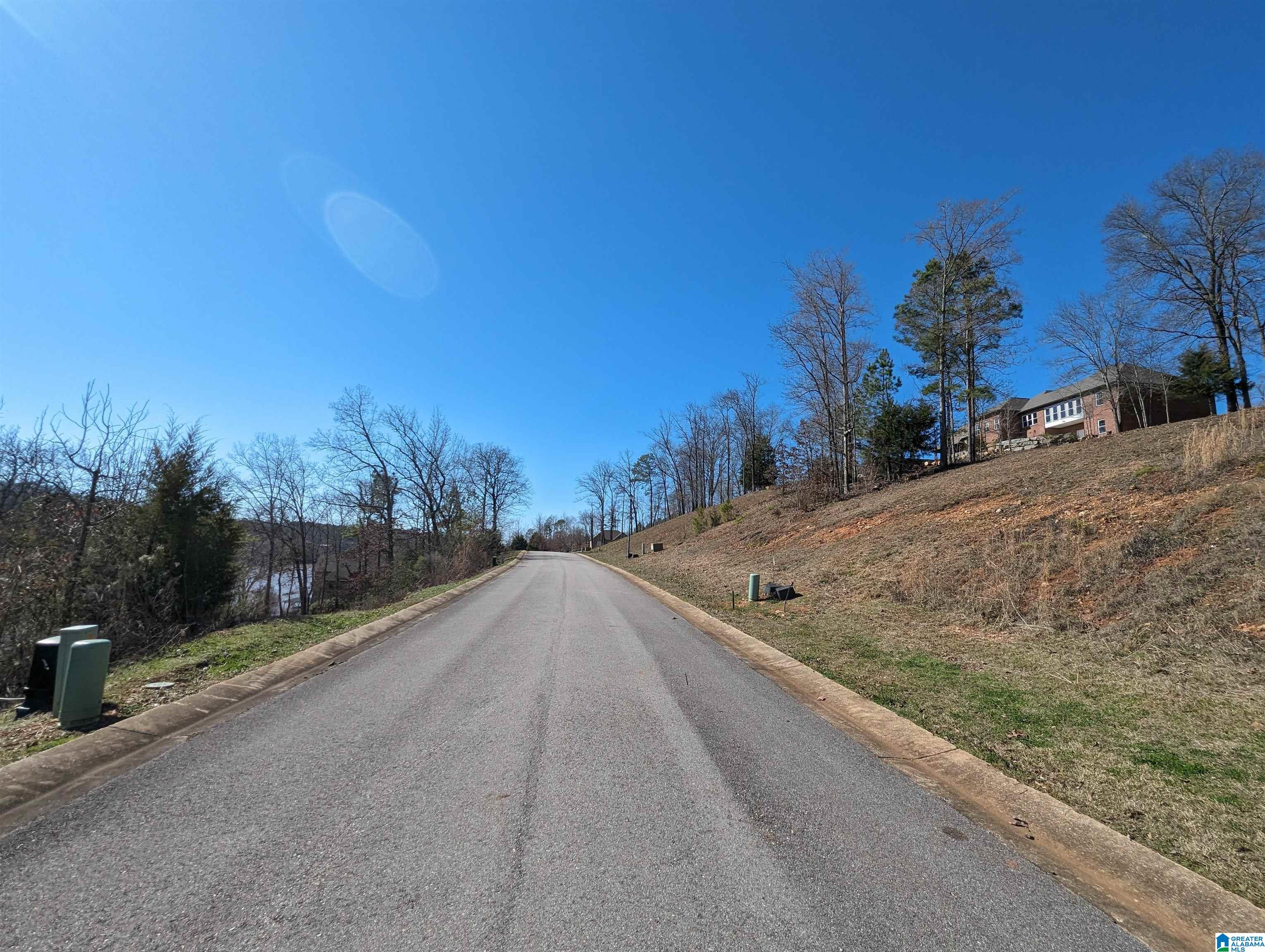 0 Overlook Ridge Lincoln, AL 35096 - Photo 17 of 33